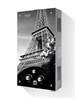Газовая колонка Оазис Glass 20 EG (Эйфелева башня) TT006040 - фото 5573